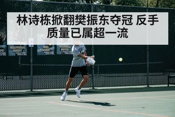 林诗栋掀翻樊振东夺冠 反手质量已属超一流